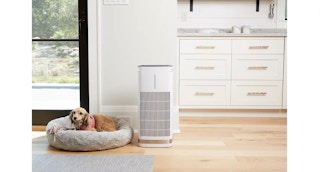 cuisinart air purfier