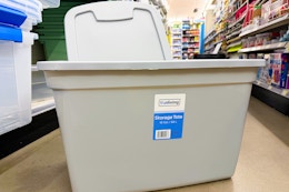 true living storage tote on store floor