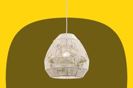 Stock image of the Bel Air Lighting Pendant Fixture