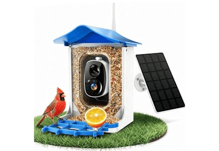 Solar Bird Feeder With Camera