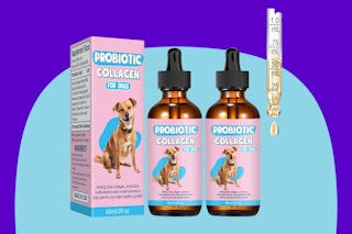 A box and two amber bottles of liquid collagen for dogs with a dropper dripping from the top. Joint health, allergies, digestion, immune