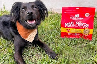 stella & chewy meal mixers