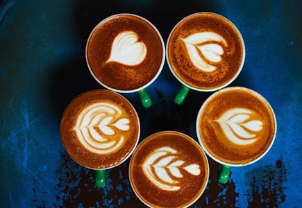 Professional Barista Online Course