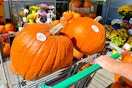 pumpkins in shopping cart