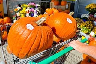 pumpkins in shopping cart