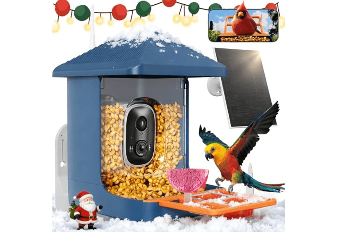Smart Bird Feeder
