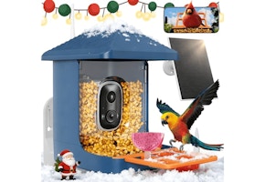 Smart Bird Feeder
