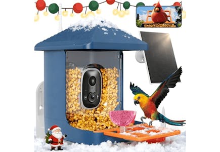 Smart Bird Feeder