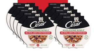Cesar Simply Crafted Meal Topper Wet Dog Food