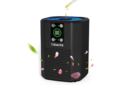 Air Purifier