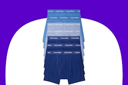 amazon calvin kline boxer