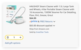 steam cleaner