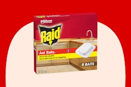 Raid Ant Killer Baits