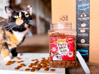 amazon-pet-day-purina-friskies-cat-treats-3