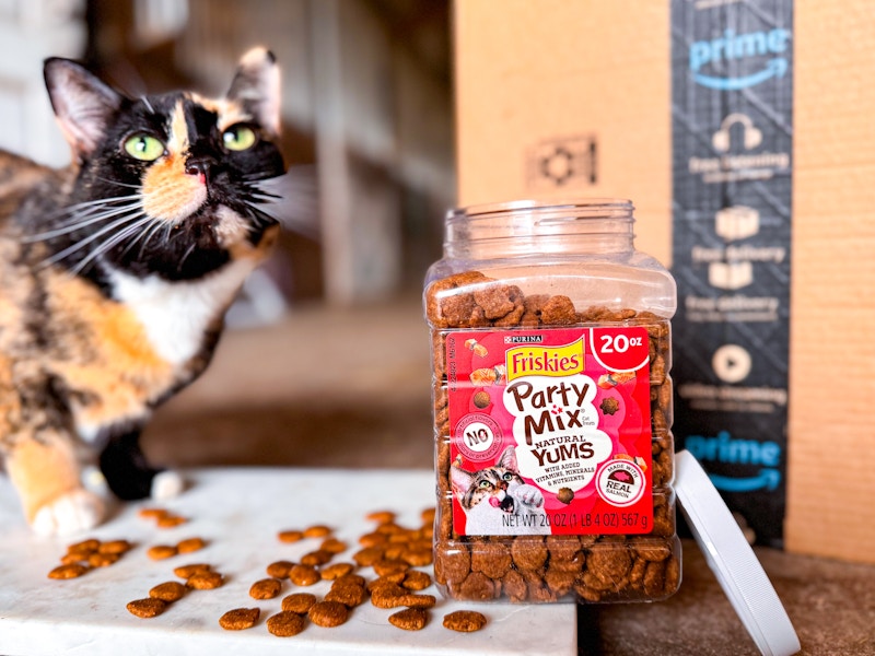 amazon-pet-day-purina-friskies-cat-treats-3