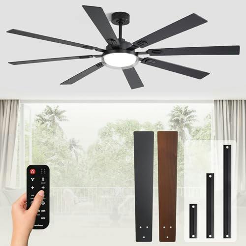 Ceiling Fan with Light