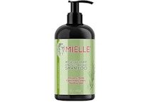 Mielle Organics Shampoo