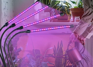 amazon plant light jpg 1681306914 1681306914