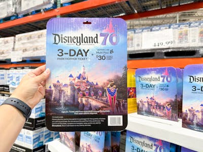 3-Day Disneyland Park Hopper Ticket