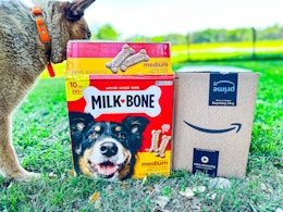 Milk-Bone 10-Pound Dog Treat Boxes, as Low as $10.48 on Amazon card image