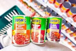 publix-bushs-best-sidekicks-beans
