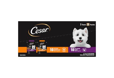 Cesar Wet Dog Food Multipack
