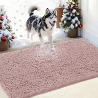Chenille Absorbent Doormat