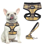 Soft Mesh Dog Harness and Leash Set