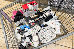 aldi disney finds in a shopping cart