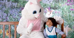 Cabela's Free Easter Bunny Photo 2024: Reserve Your Spot Starting March 16 card image