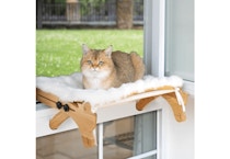 Cat Window Perch