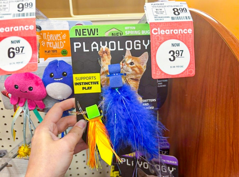 petsmart playology cat toy