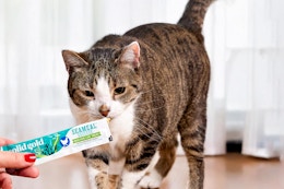 Solid Gold Lickable Cat Treats B0BX4HS98C