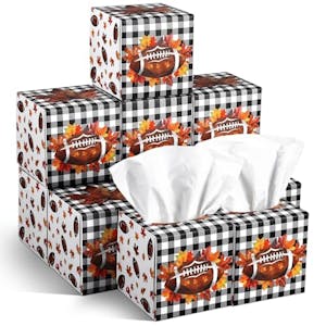 Facial Tissues 12-Pack