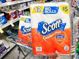 hand holding scott paper toilet paper