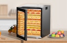 a food dehydrator machine 
