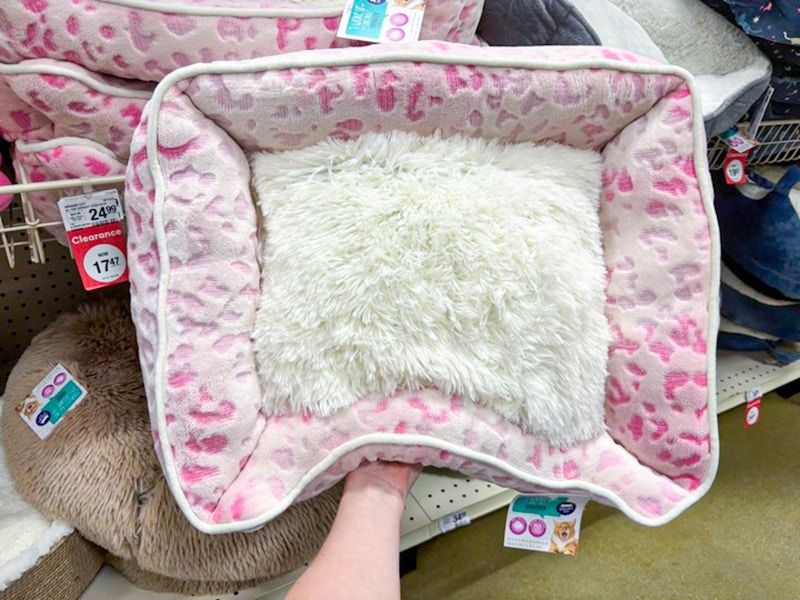 petsmart cat bed