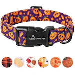 Halloween Dog Collar