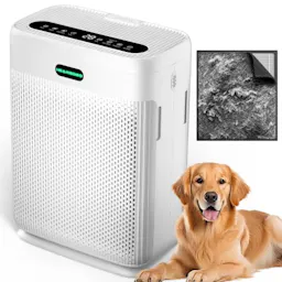Air Purifier