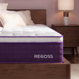 Queen Mattress