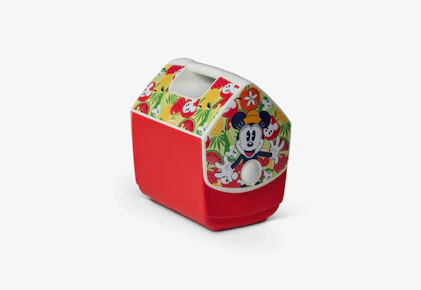 Igloo Cooler