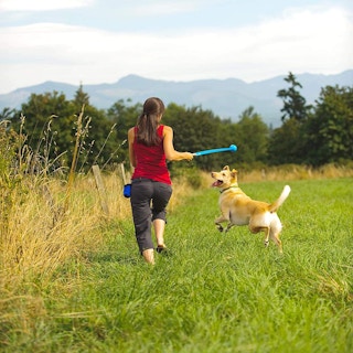 amazon chuckit ball launcher with dog