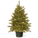 National Tree Company Spruce Tree