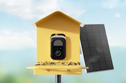 Metal Smart Bird Feeder with Camera