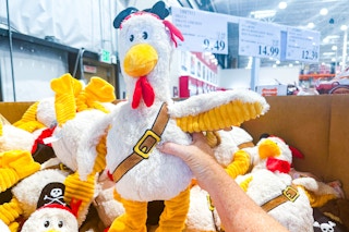 costco-pirate-chicken-dog-toy