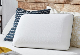 Sealy Memory Foam Pillows, Only $24 at Walmart (Reg. $69) card image