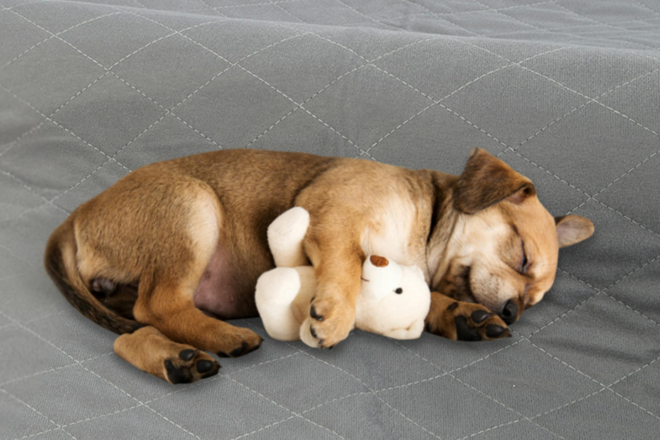 Washable Dog Pee Pad