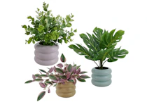 Mainstays Artificial Plants