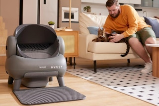 self cleaning cat box