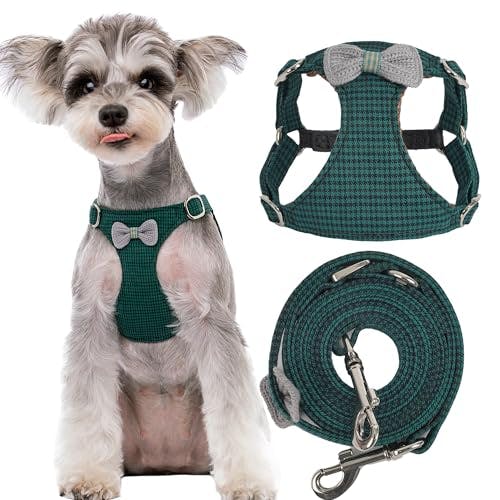 Dog Harness and Leash Set